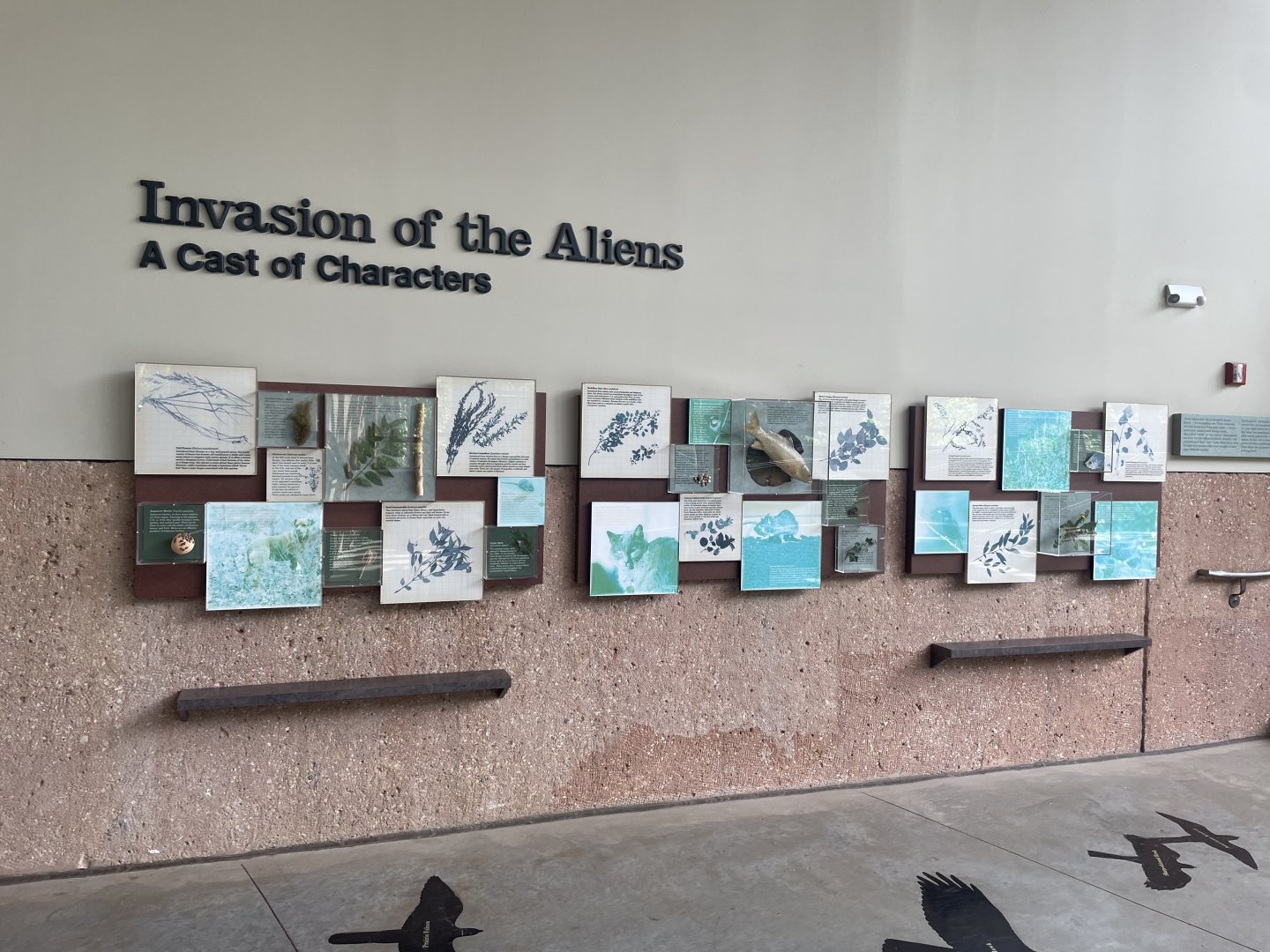 Invasive Species Signage