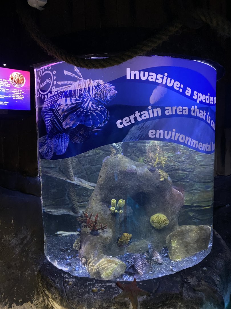 Invasive species tank 060125
