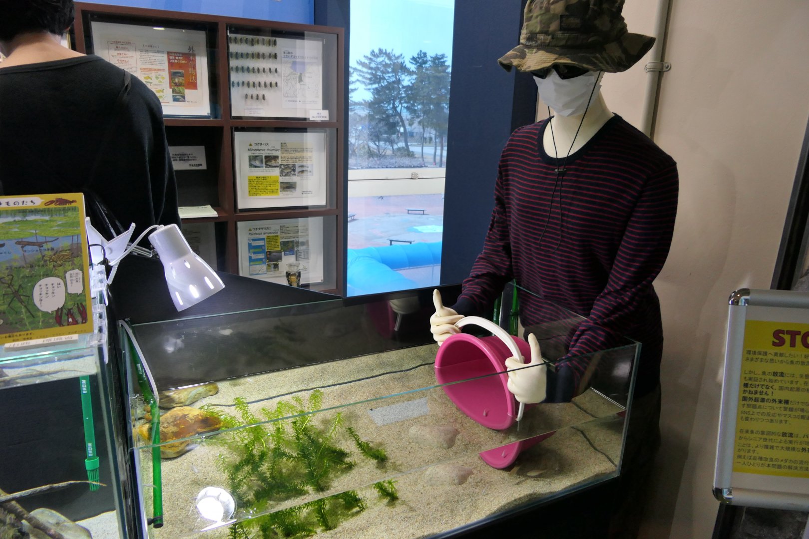 Invasive species tank - Uozu Aquarium