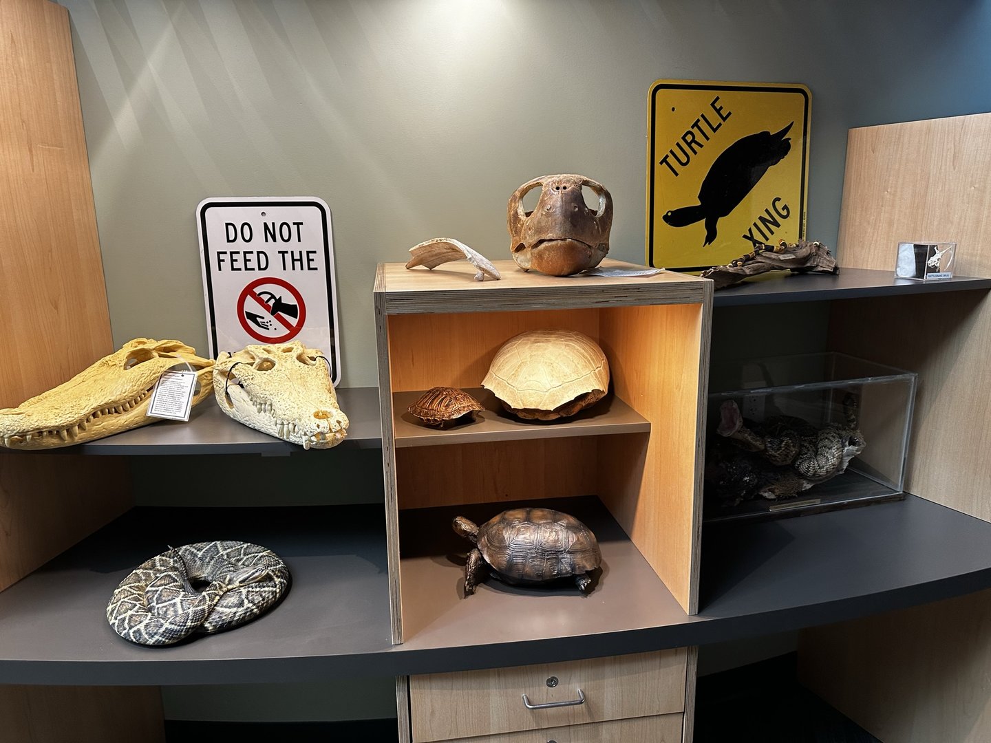 Invasives Area - Education