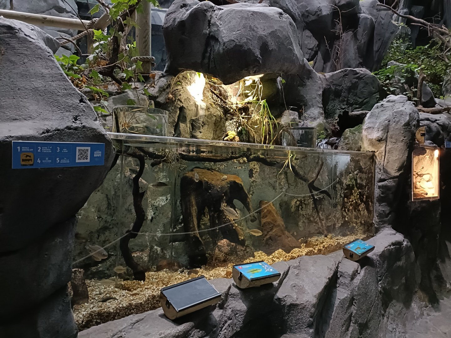 Invasor species exhibit - Bioparc Acuario de Gijón