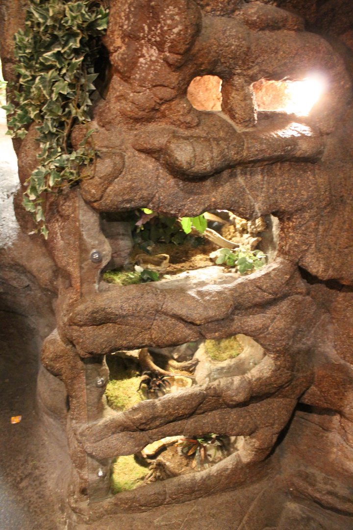 Invebrate-enclosures