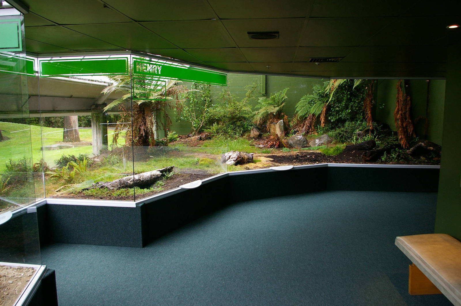 Invercargill tuatarium