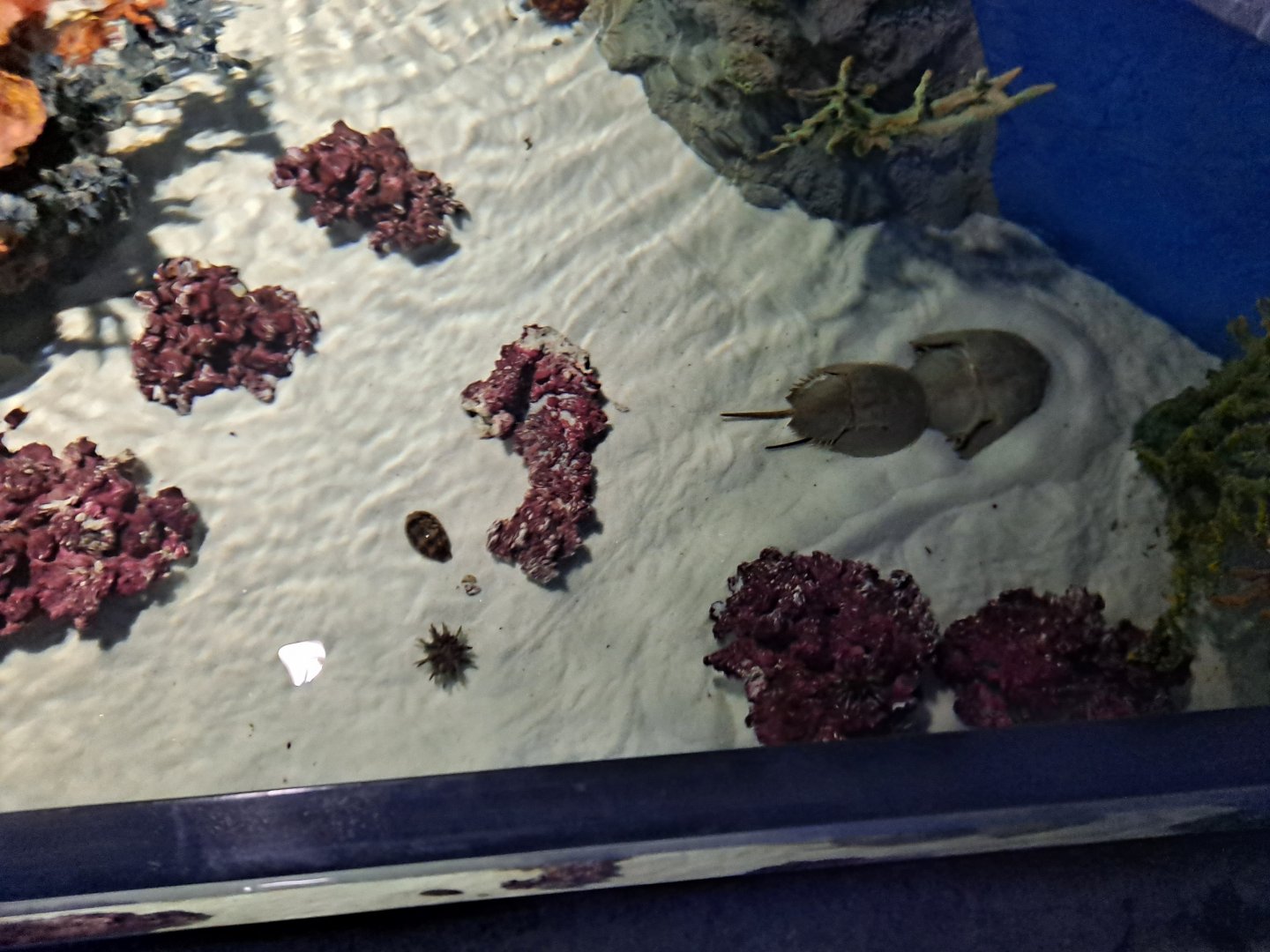 Invert Touch Tank (4/19/25)