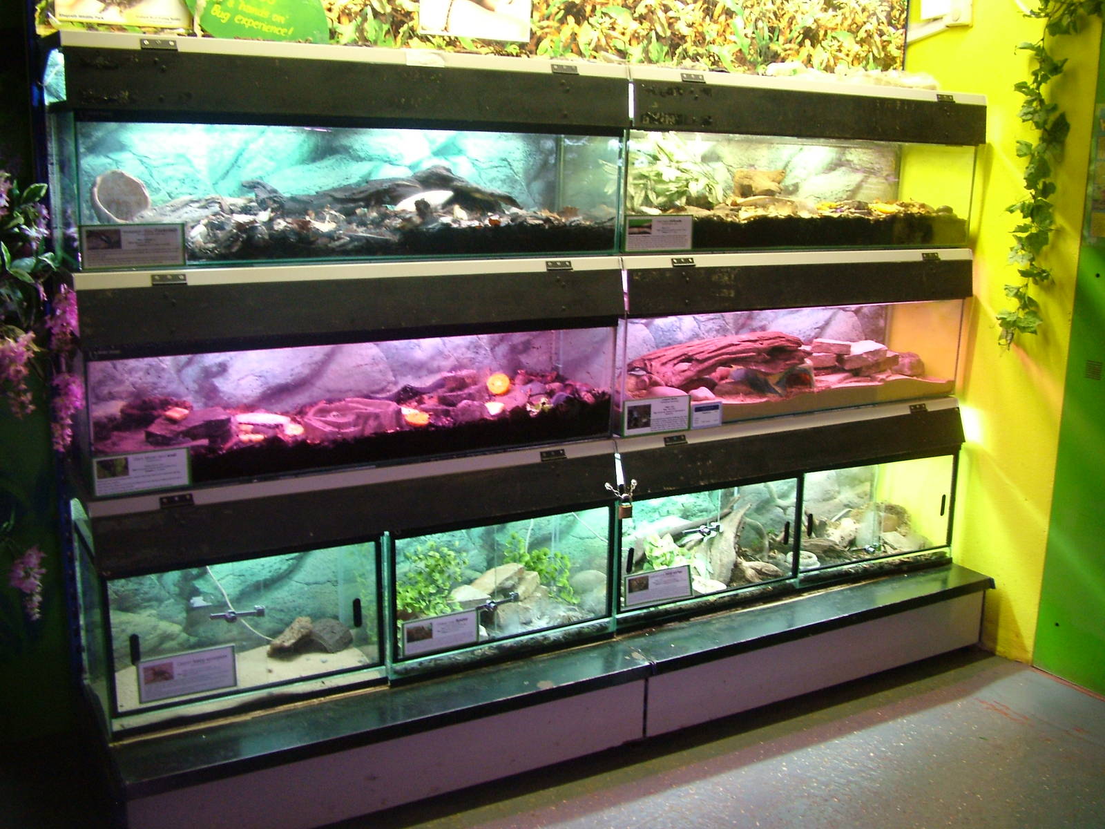 Invertebrate displays at Shepreth 05/04/10