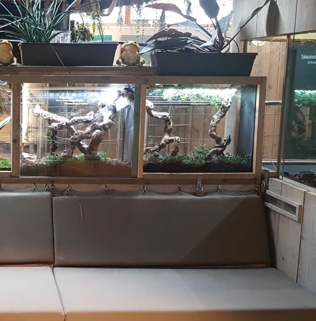 Invertebrate-enclosures