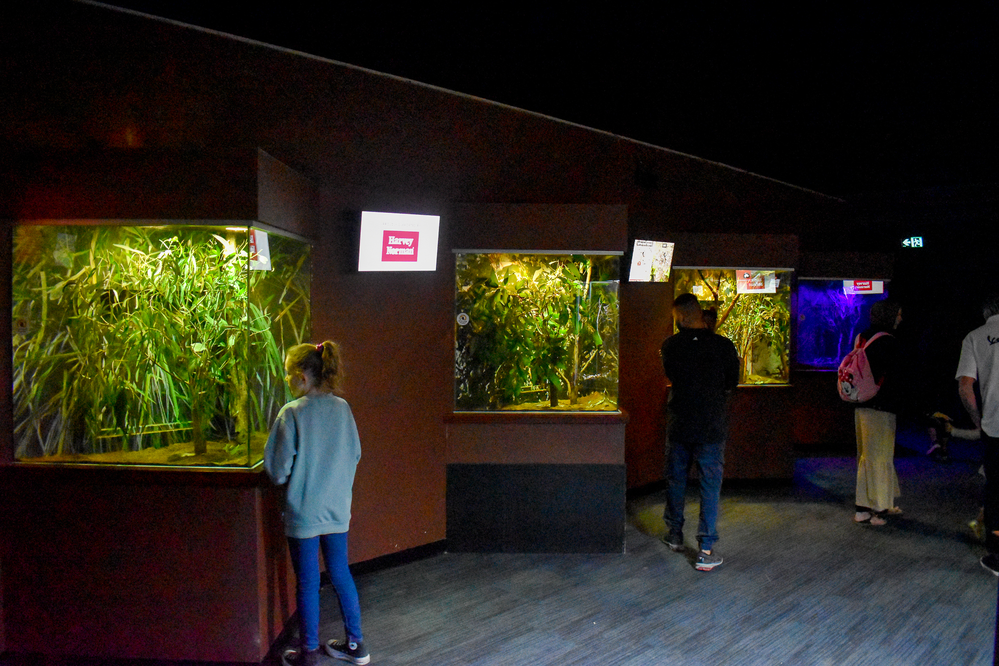 Invertebrate Enclosures