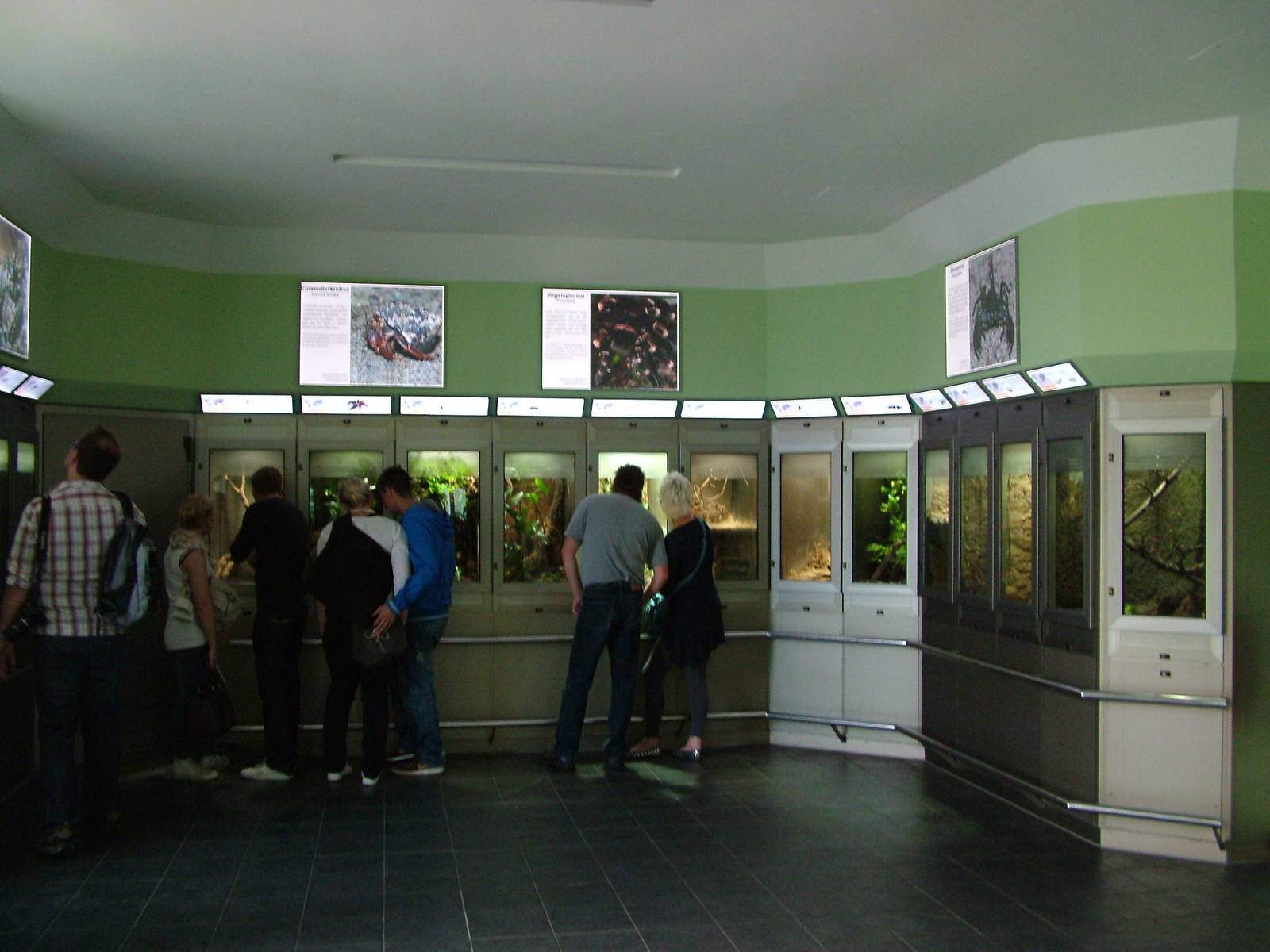Invertebrate Exhibits at Berlin Zoo Aquarium, 31/08/11