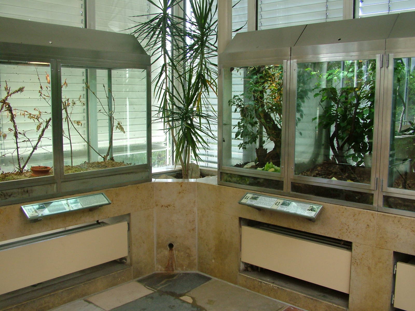 Invertebrate Exhibits at Frankfurt 31/08/10