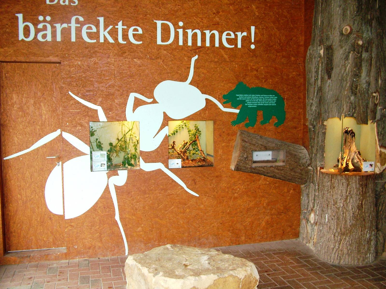 Invertebrate Exhibits at Rheine, 03/06/12
