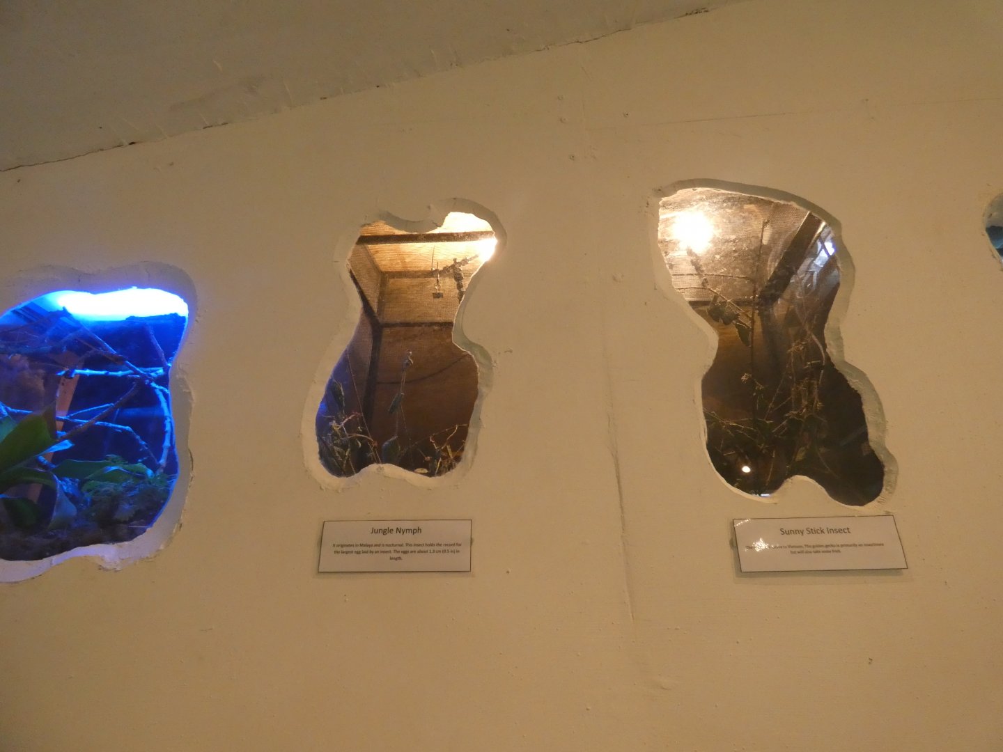 Invertebrate exhibits