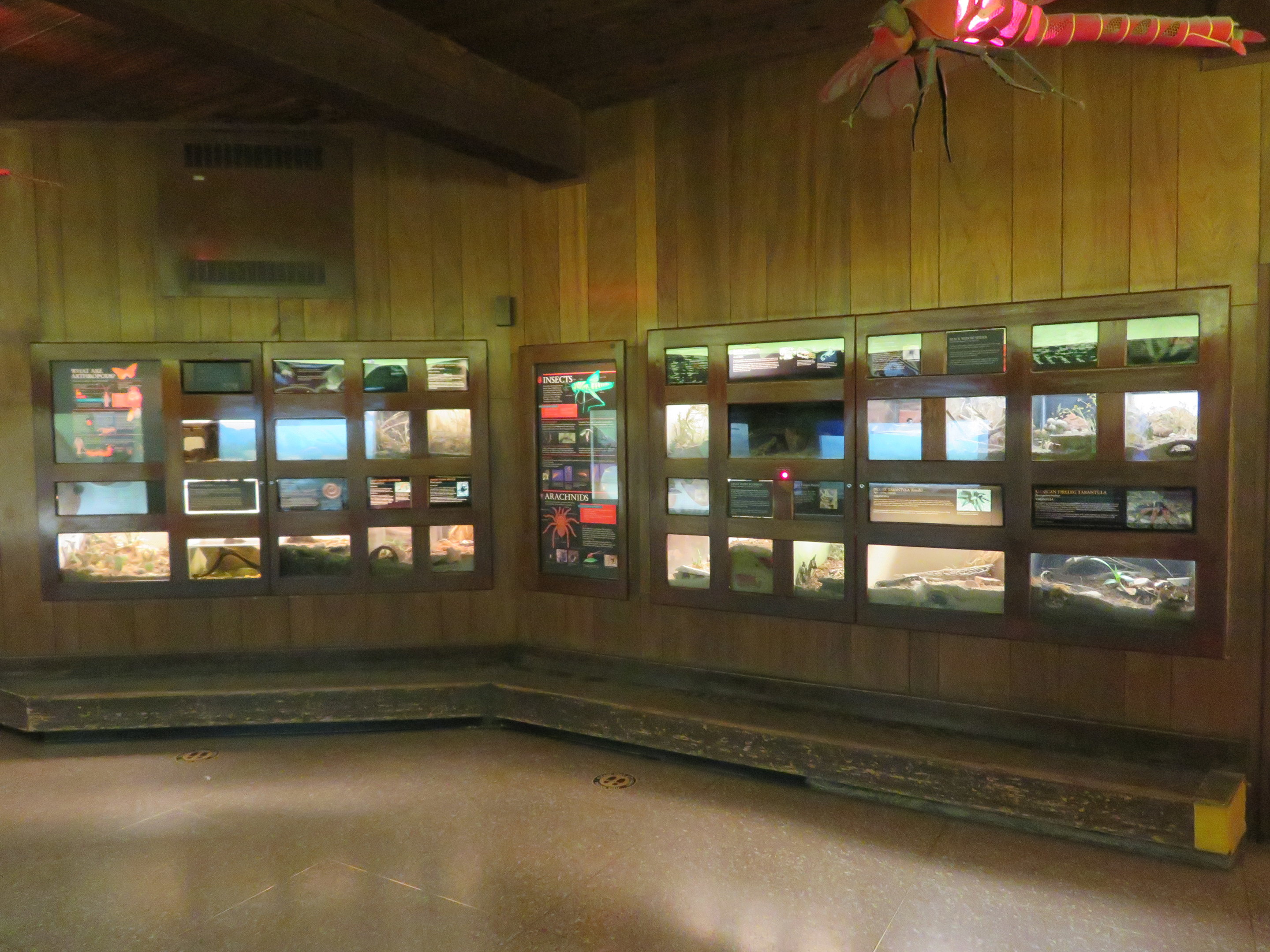 Invertebrate Exhibits