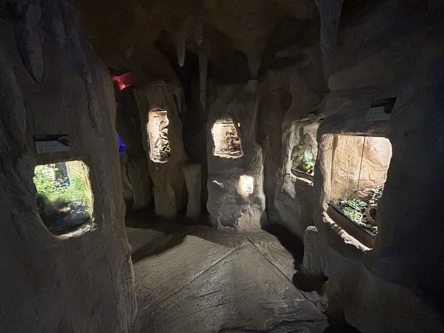 Invertebrate Exhibits