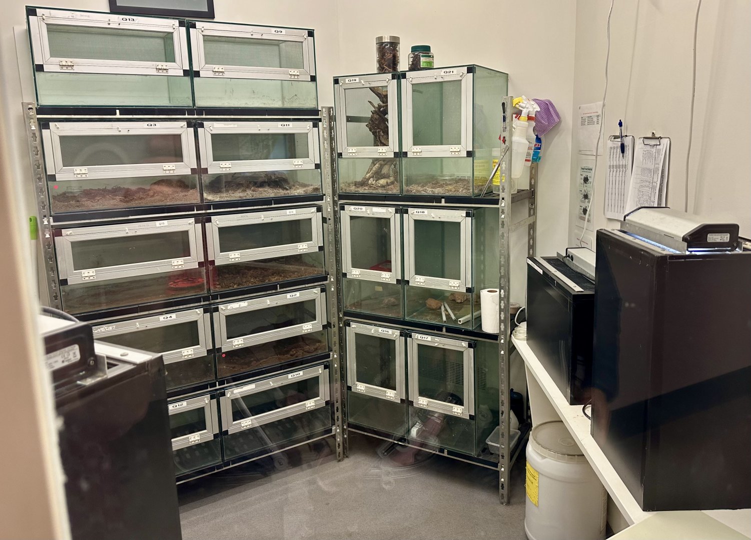 Invertebrate Hatchery