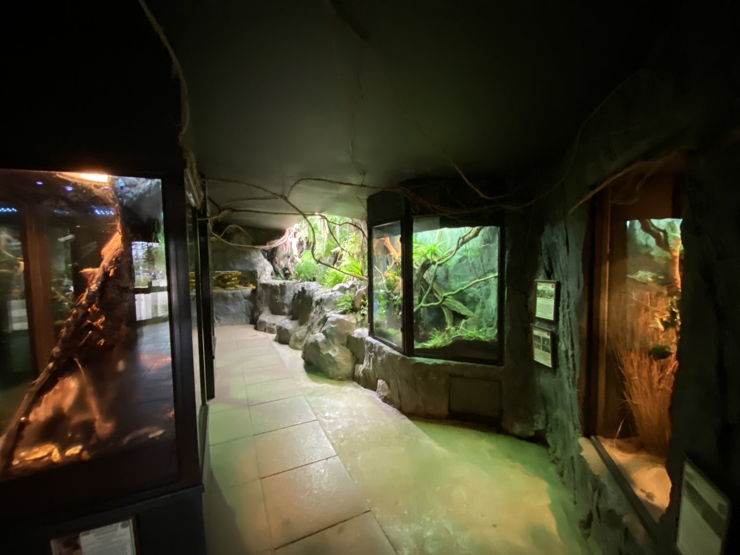 Invertebrate House 280222