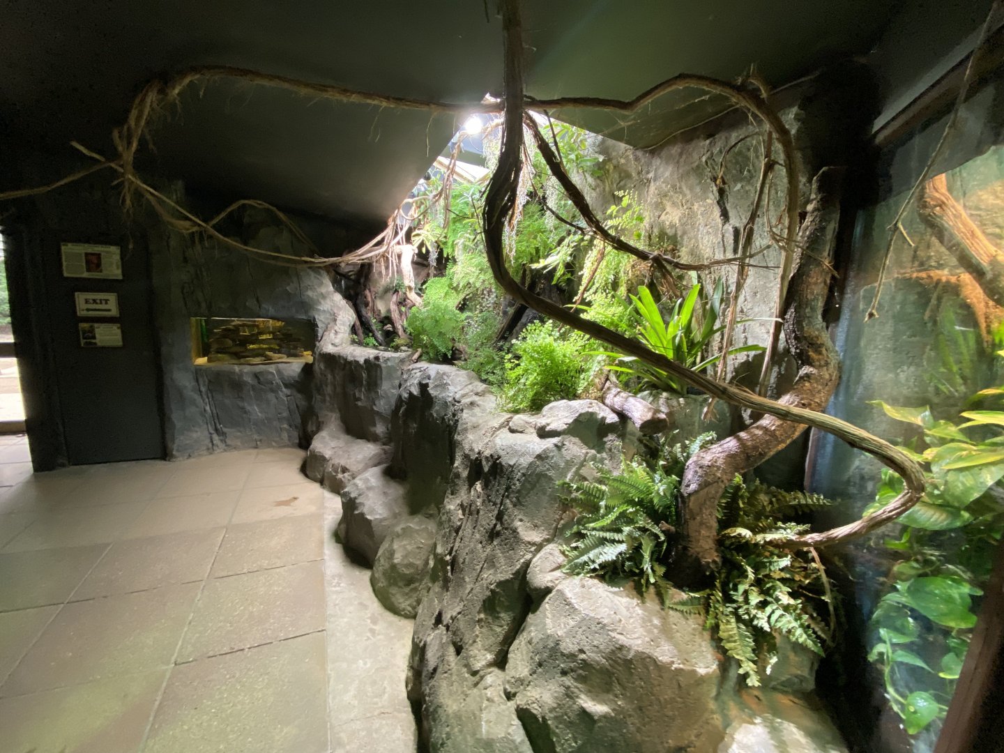 Invertebrate House 280222