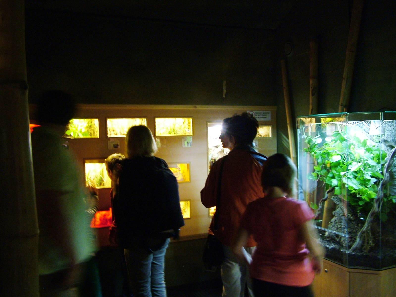 Invertebrate House Interior at Dvur Kralove, 27/08/12