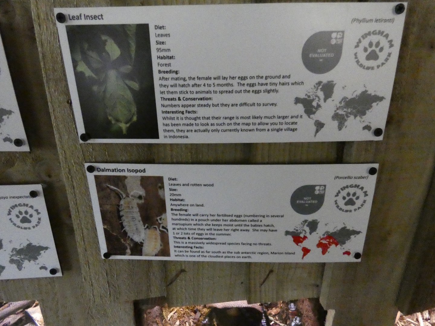 Invertebrate house signage