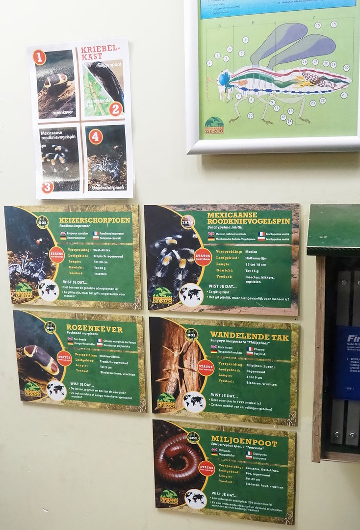 Invertebrate signage, 2023-05-31