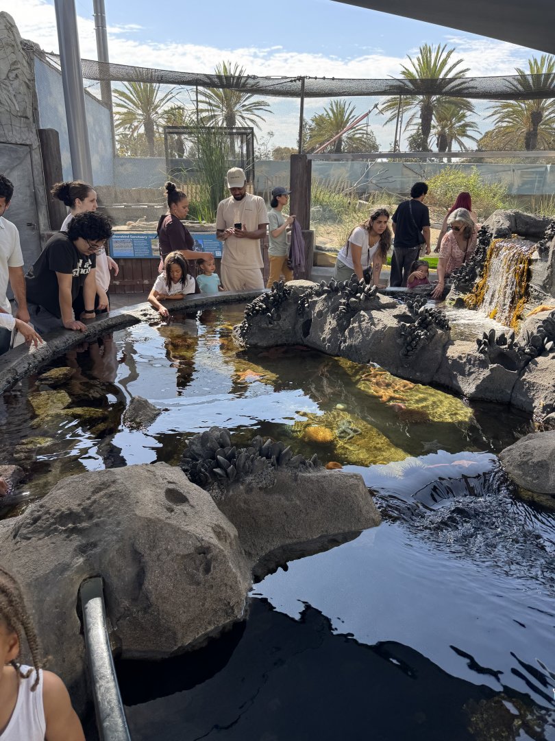 Invertebrate Touch Pool