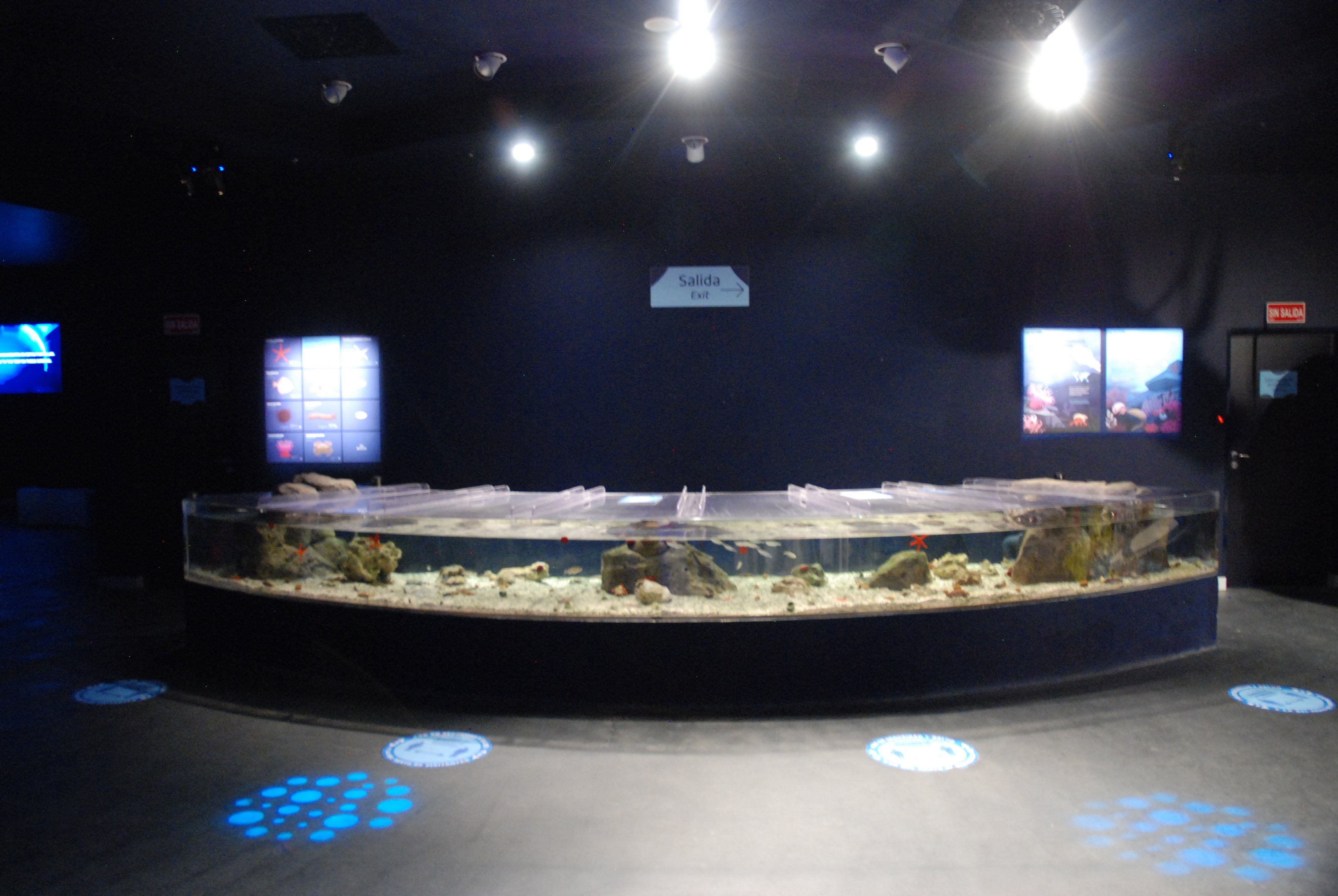 Invertebrate Touch Pools at Atlantis Aquarium Madrid, 20th May 2022