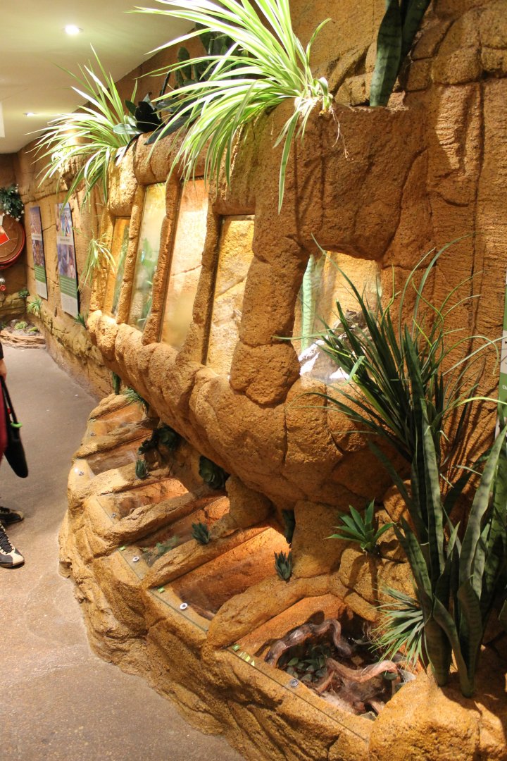 Invertebrates-enclosures