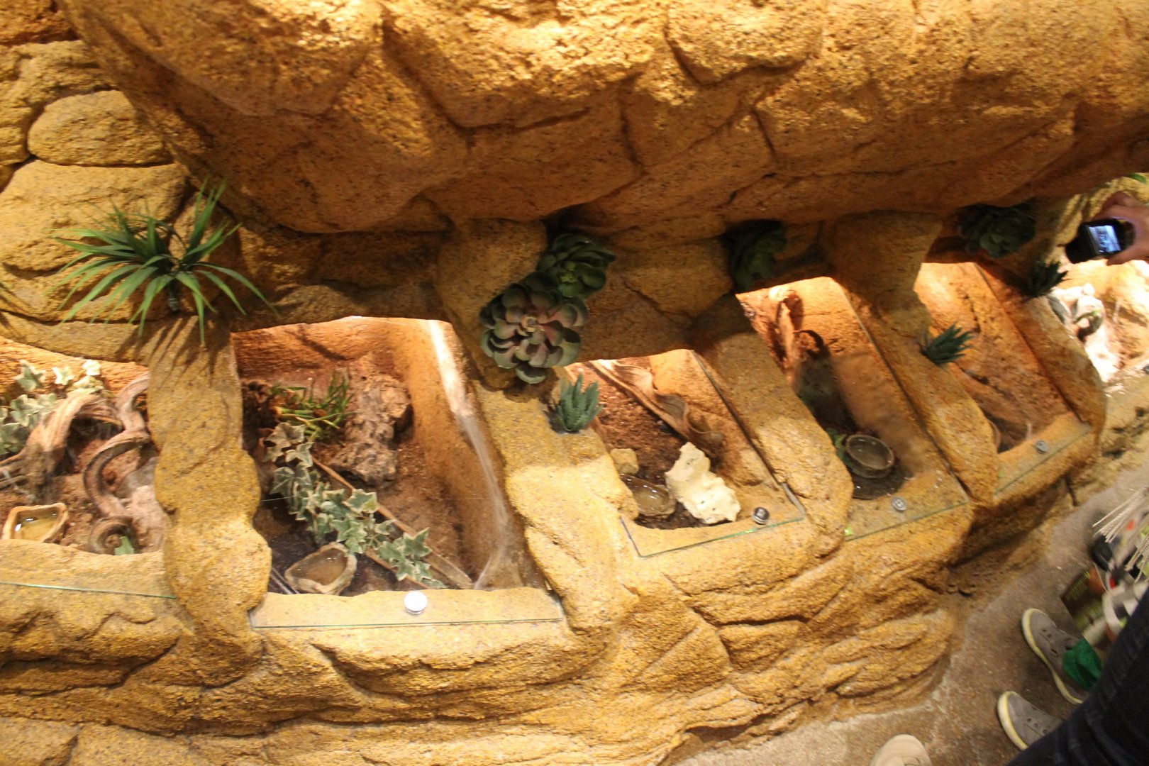 Invertebrates enclosures