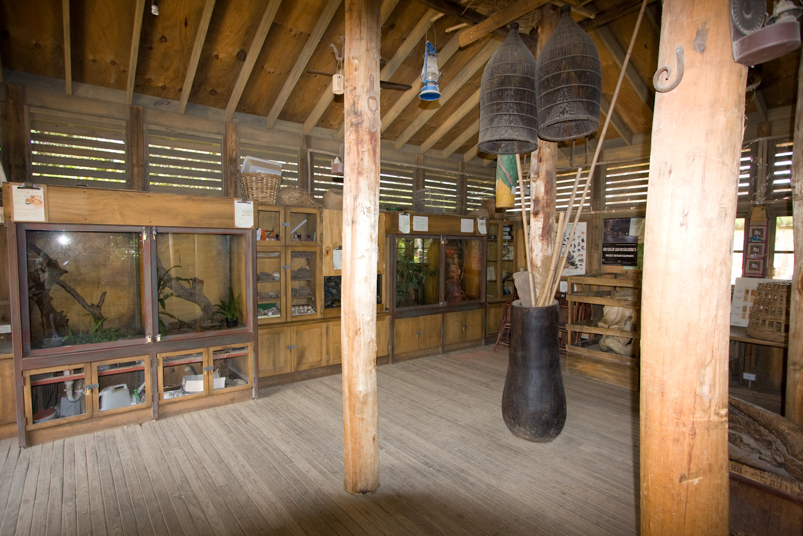 invertebrates - Sep 2008