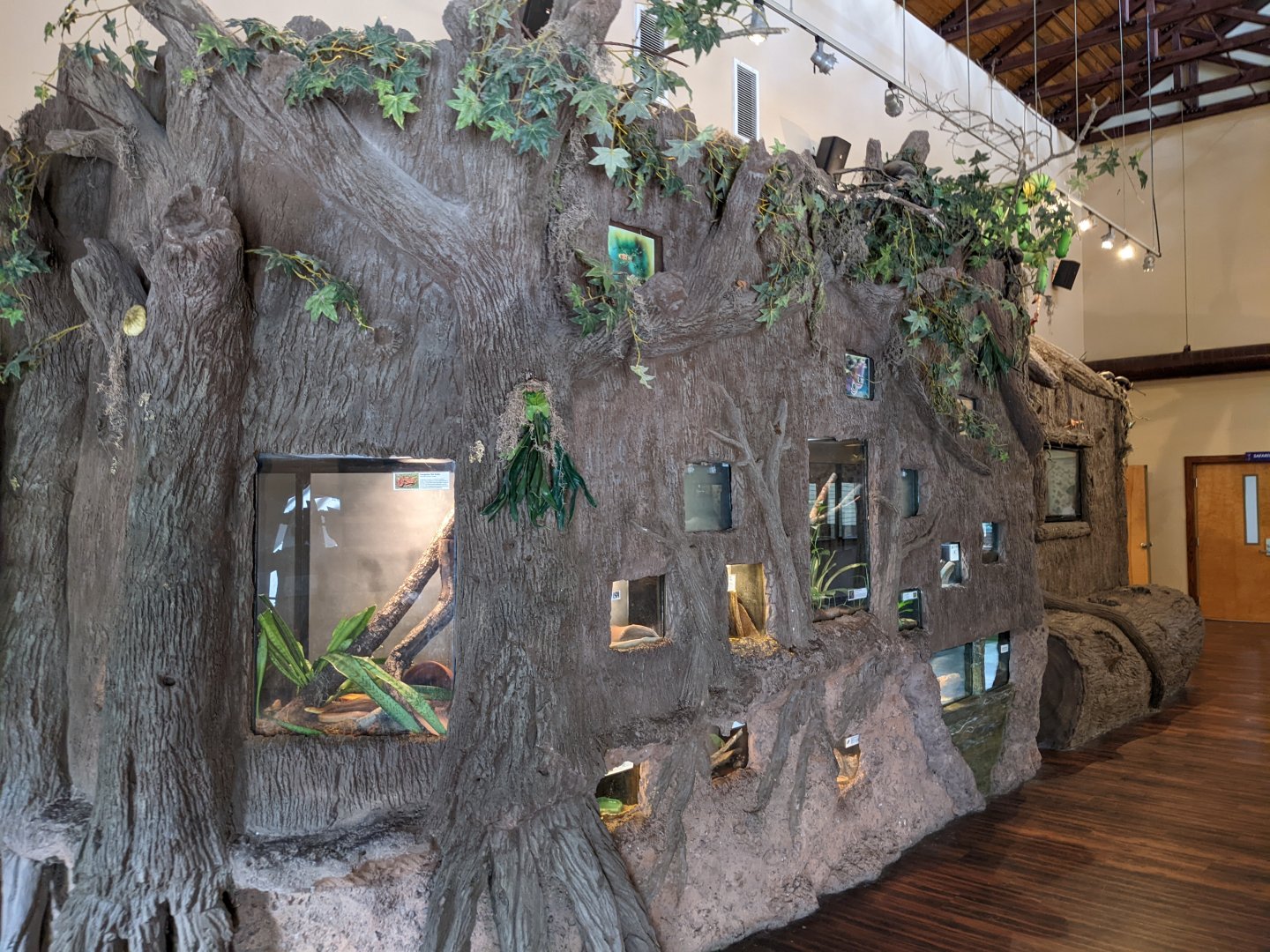 Inverterbrate display in the Discovery Center