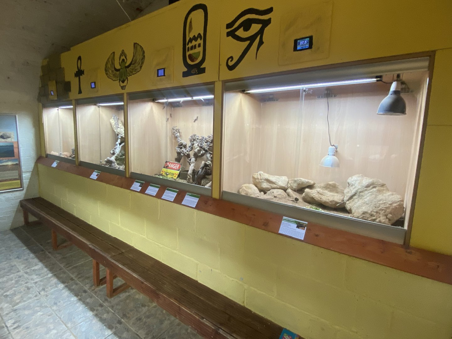 IOW Reptilarium - Desert Zone 150923