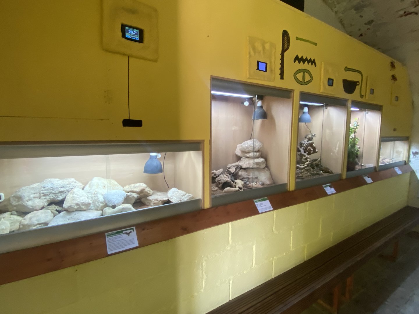 IOW Reptilarium - Desert Zone 150923