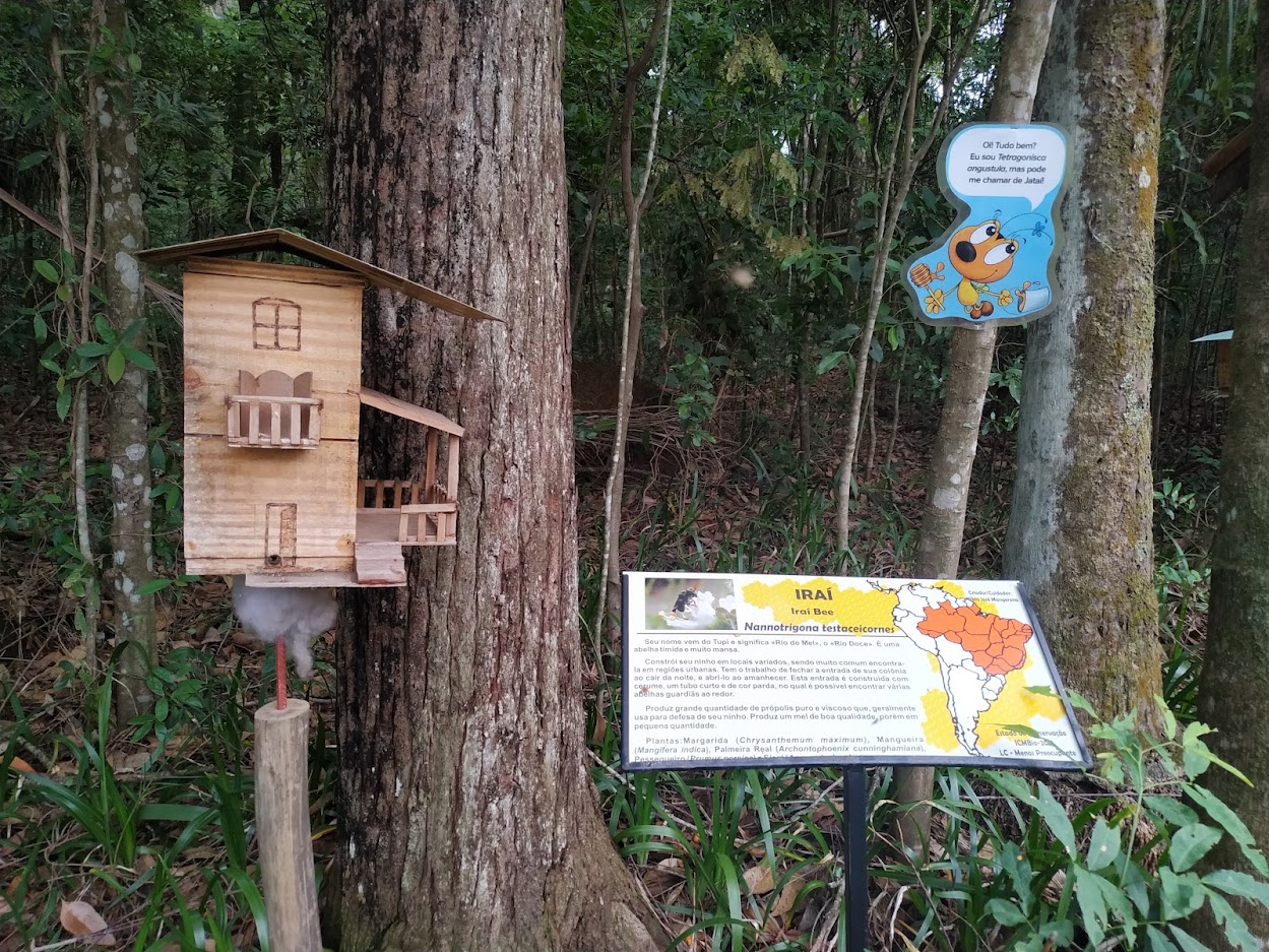 Iraí Beehive