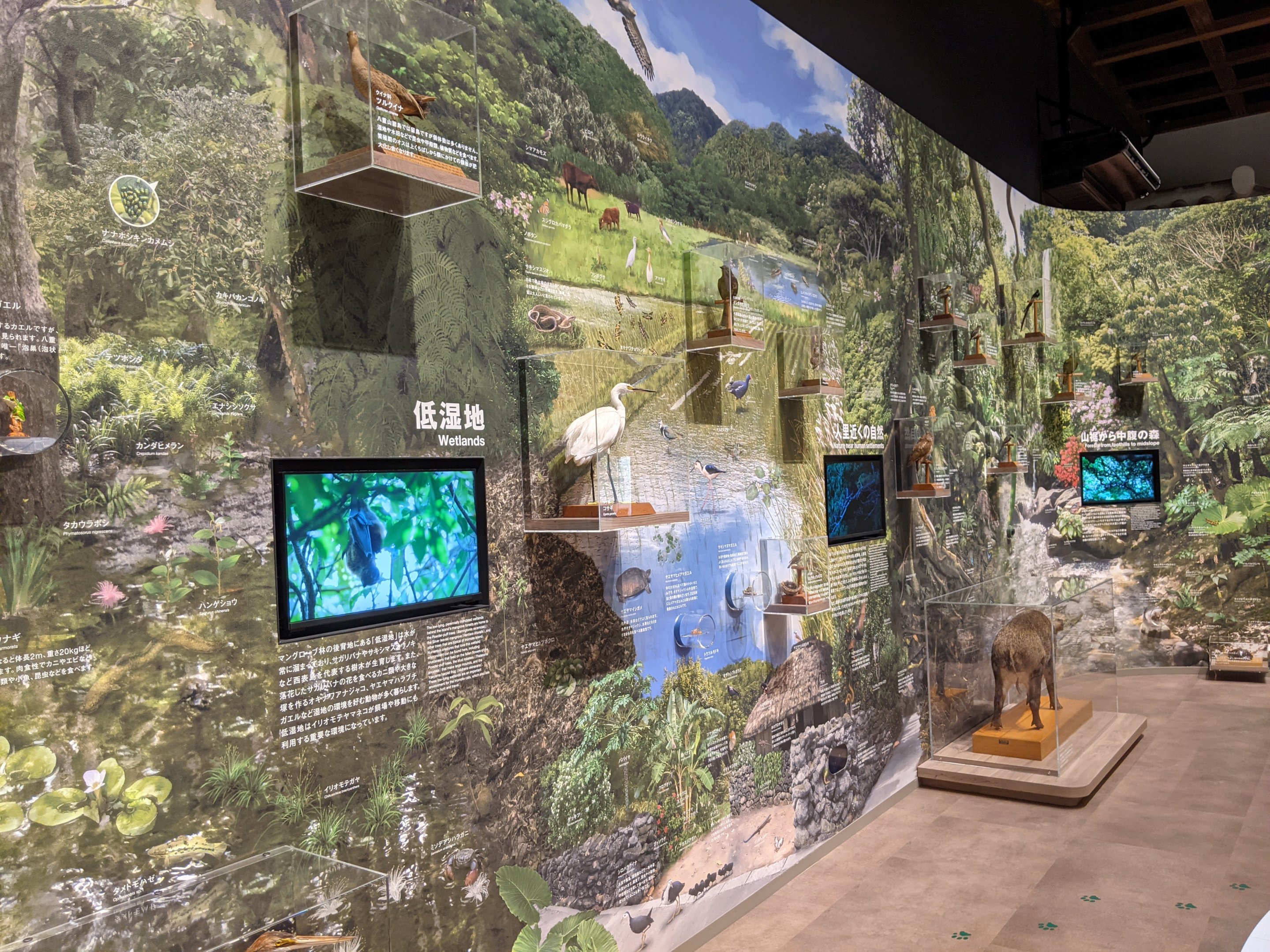 Iriomote Wildlife Conservation Center