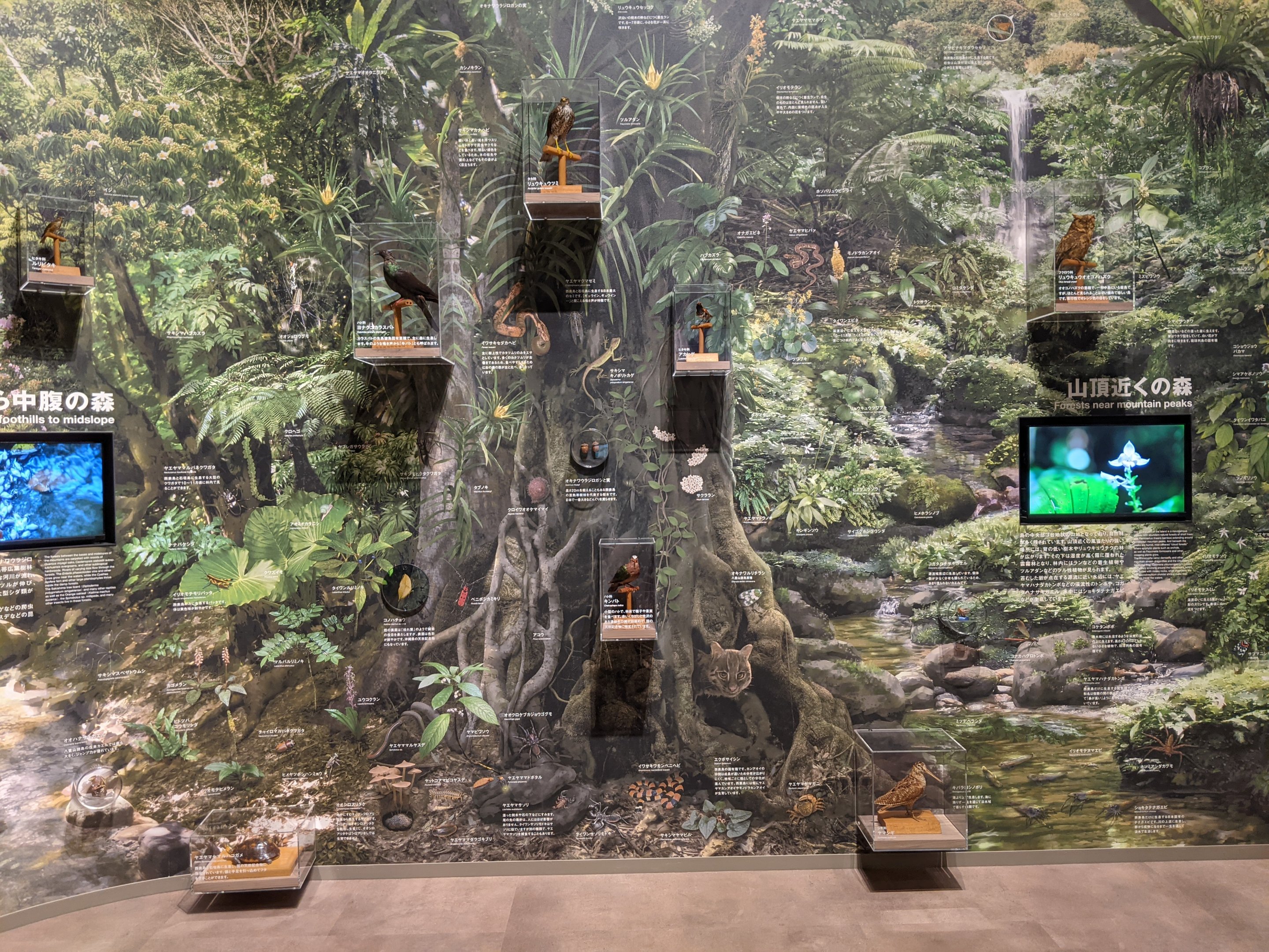 Iriomote Wildlife Conservation Center