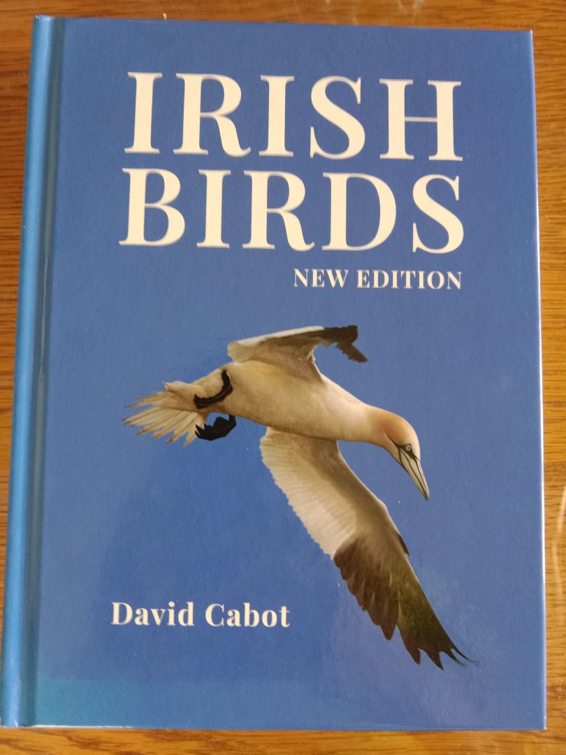 Irish Birds