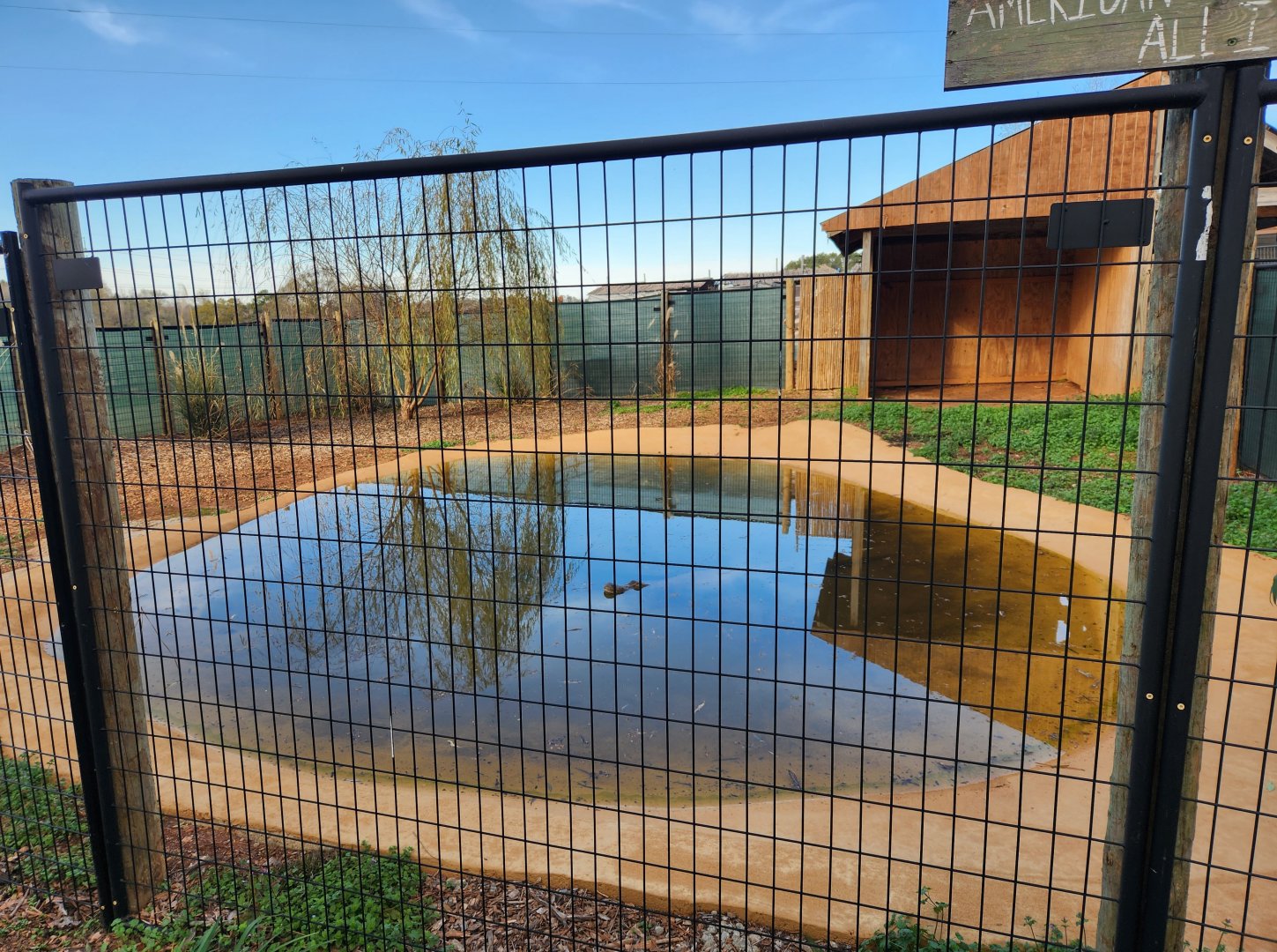 Iron P Homestead Zoo - Alligator enclosure
