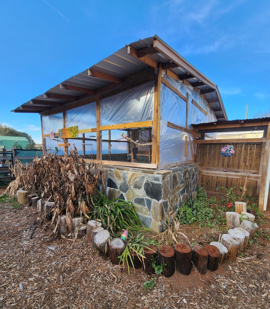 Iron P Homestead Zoo - Aviary