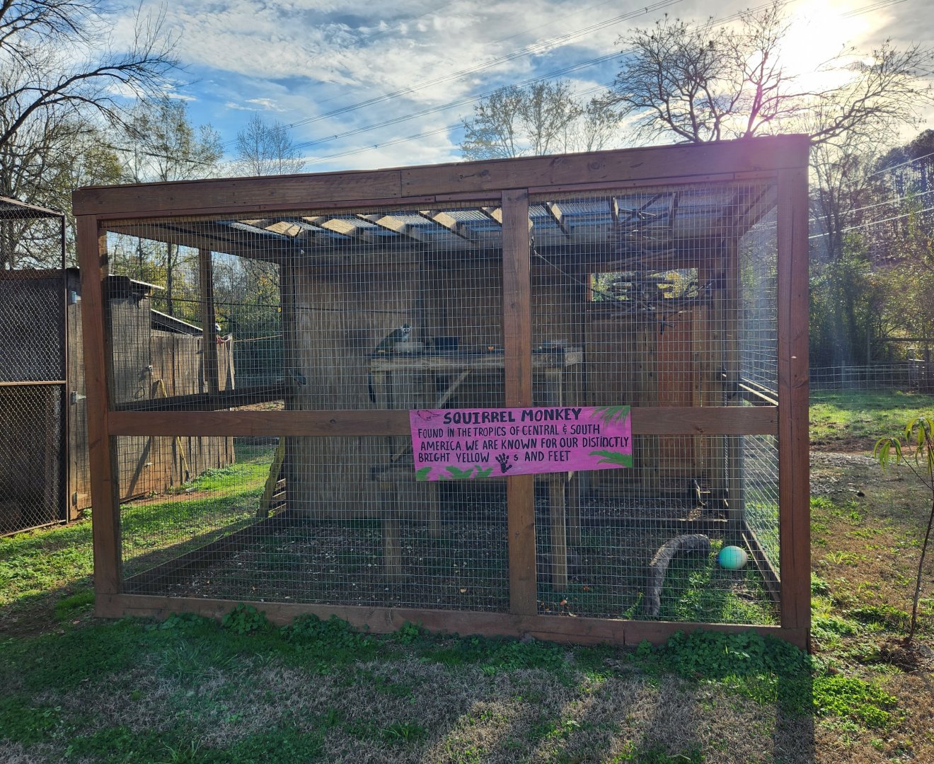 Iron P Homestead Zoo - Common Squirrel Monkey enclosure
