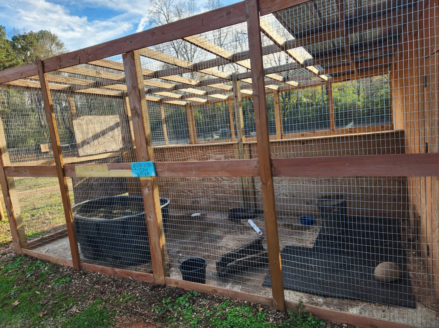 Iron P Homestead Zoo - Oriental Small-clawed Otter exhibit
