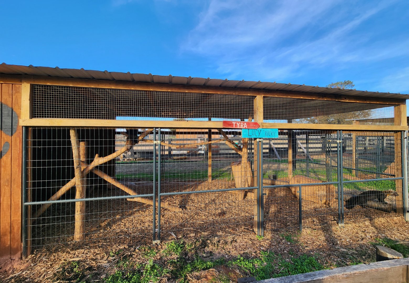 Iron P Homestead Zoo - Tayra enclosure