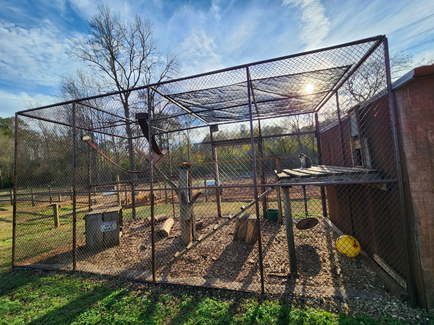 Iron P Homestead Zoo - Vervet Monkey enclosure