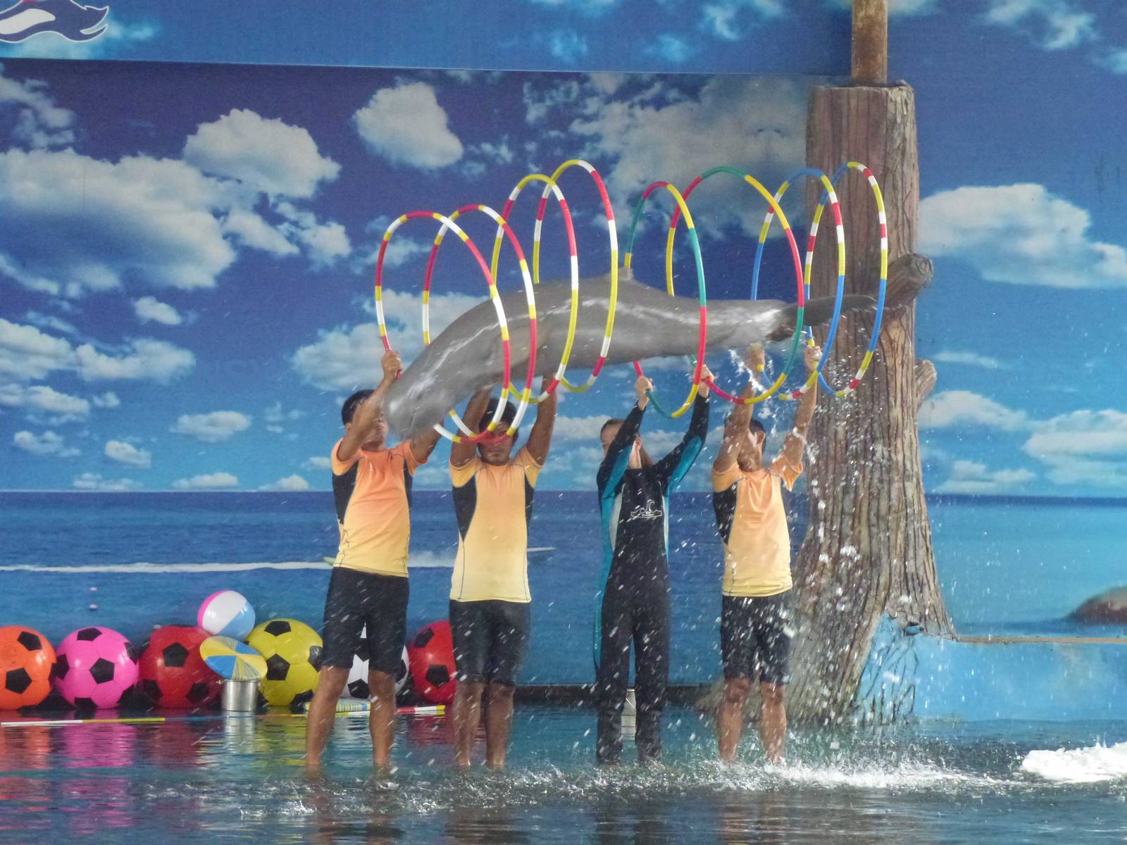 Irrawaddy dolphin jump, June 2013