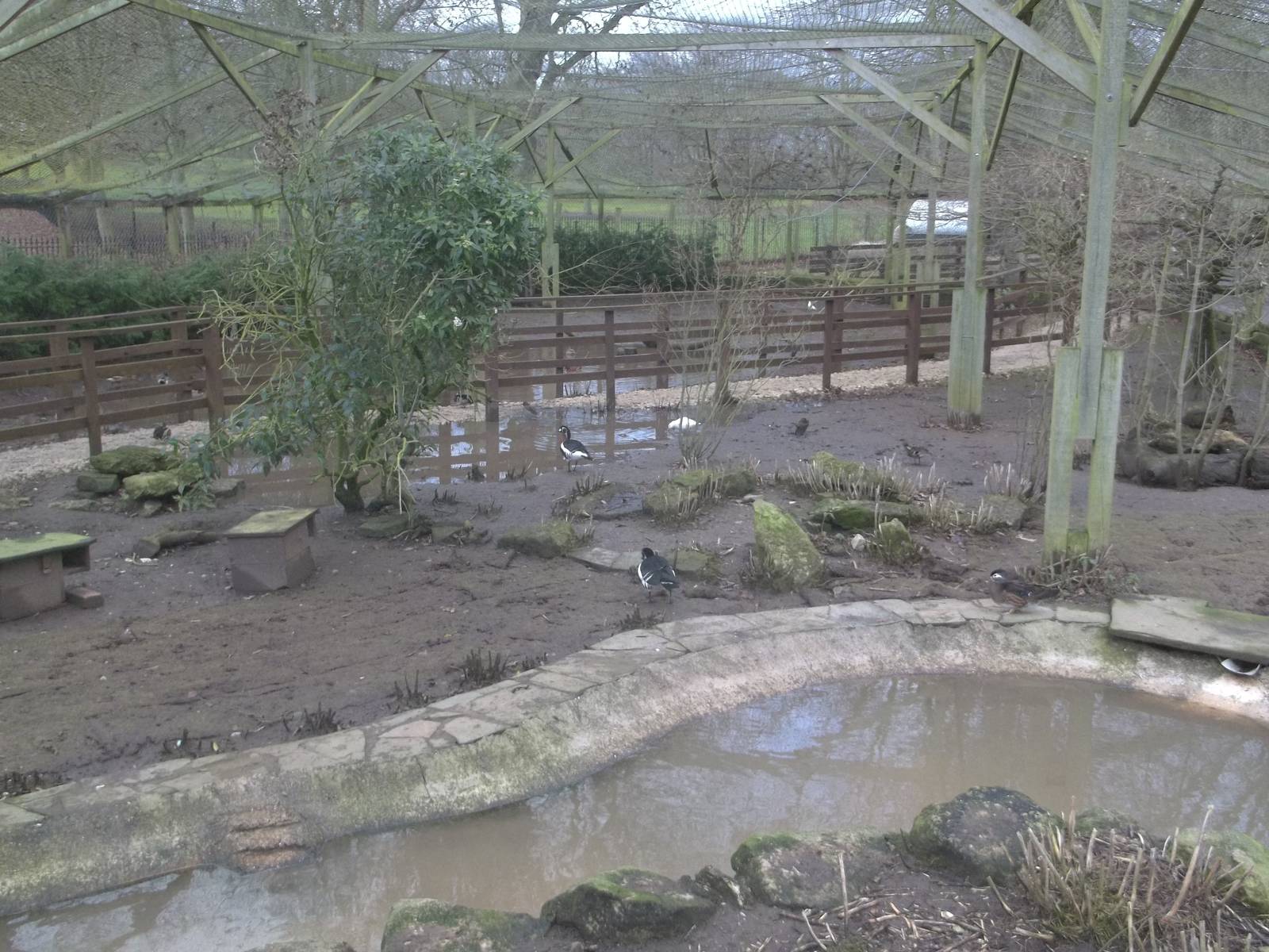 Is milky water spreading throughout Yorkshire? 1st February 2015