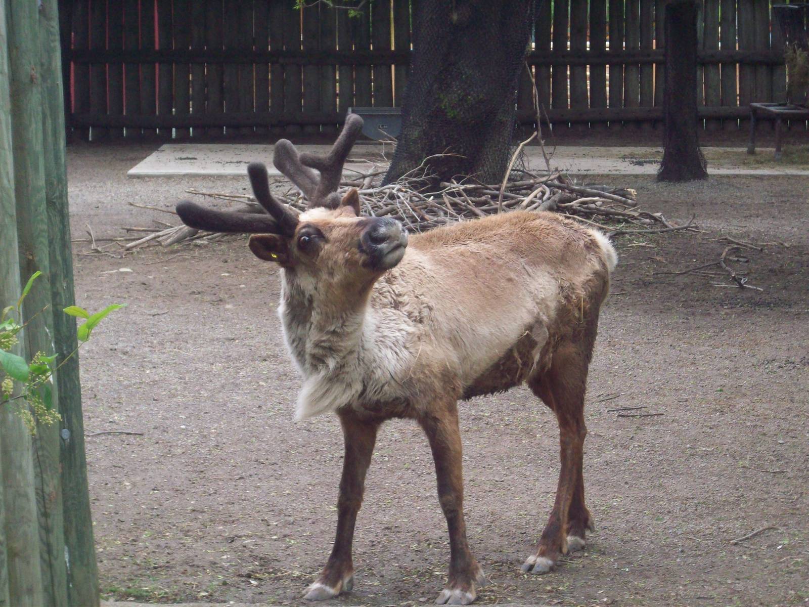 Is thia my good side?