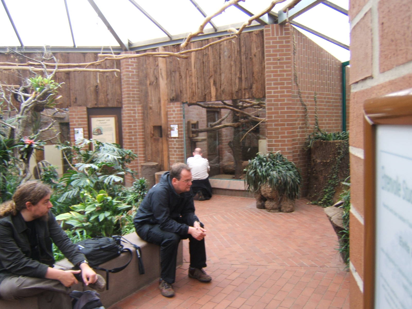 Is this a record for the most number of zoochatters in one photo