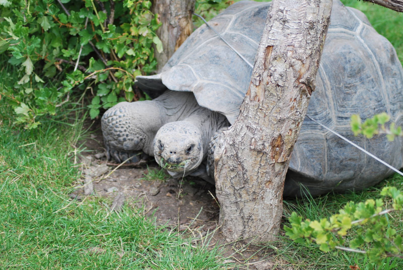 Is this dangerous or harmless?