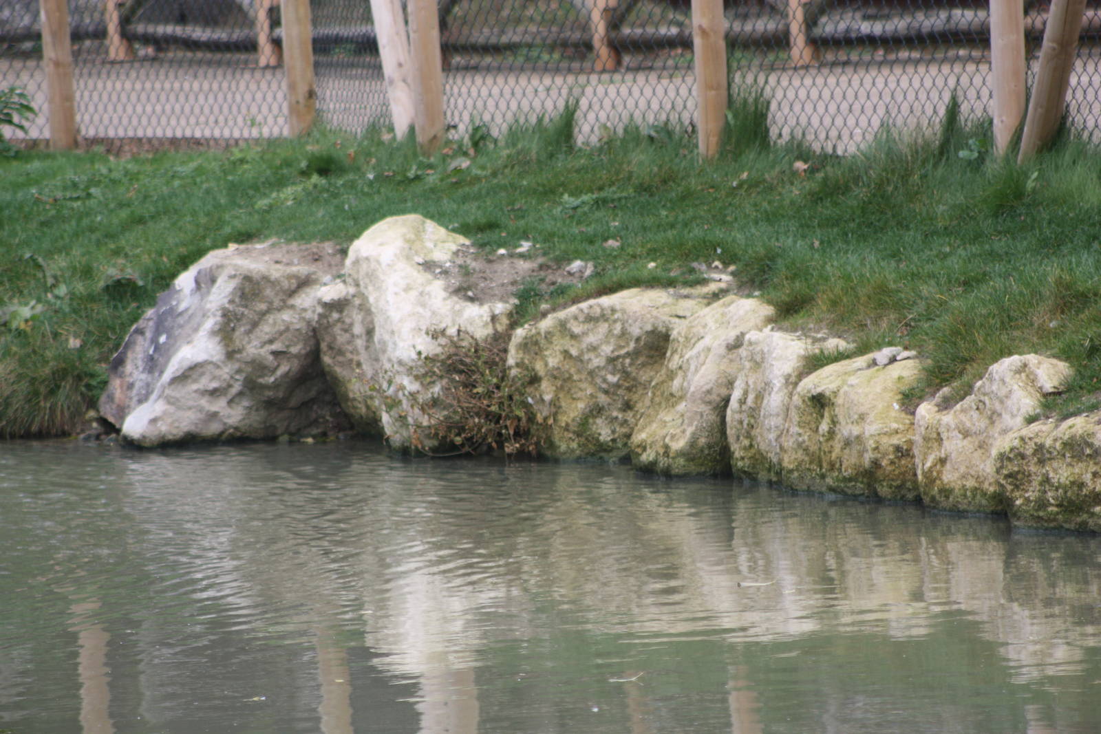 Is this the cause of the milky water, 27th October 2014