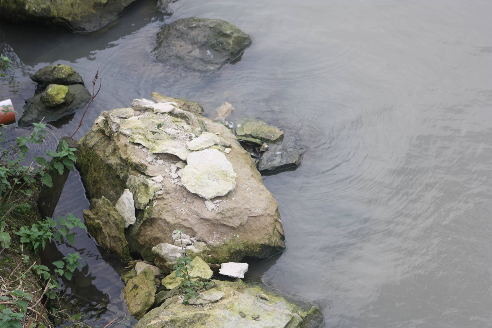 Is this the cause of the milky water, 27th October 2014