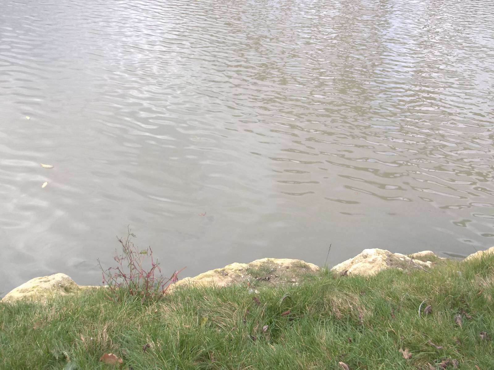 Is this the cause of the milky water, 27th October 2014