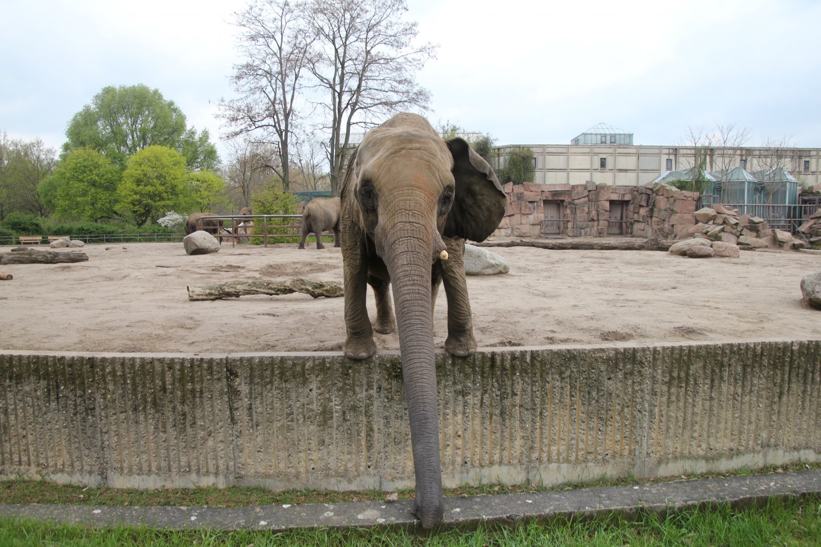 Is this the Tierpark Berlin Knochenhaueri?